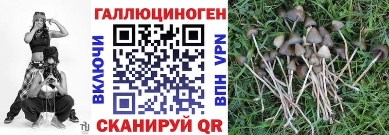 blacksprut зеркало  Каргополь  Галлюциногенные грибы GOLDEN TEACHER 