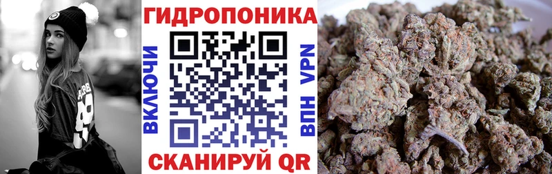 Бошки Шишки Ganja  Каргополь 